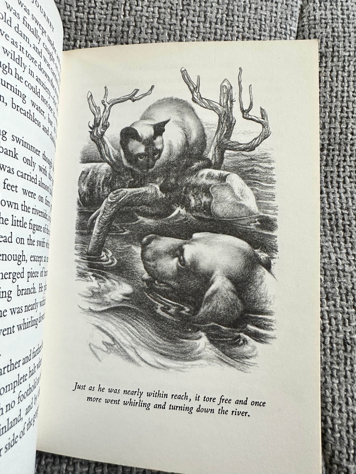 1961 The Incredible Journey - Sheila Burnford(Carl Burger Illust)The Book Club - Honeyburn Books (UK)