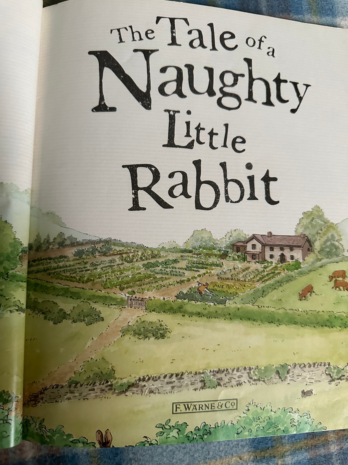 2011 The Tale Of The Naughty Little Rabbit - Beatrix Potter(Booktrust Frederick Warne & Co Ltd) - Honeyburn Books (UK)