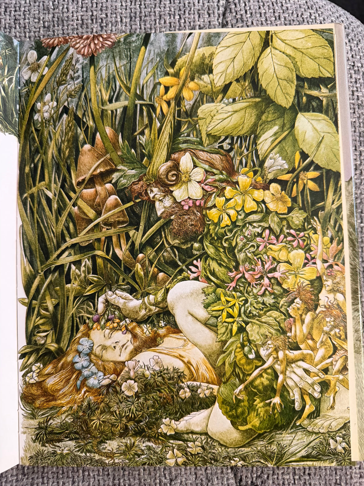 1982 A Midsummer Night’s Dream - William Shakespeare (Kevin Maddison illust) Ash & Grant