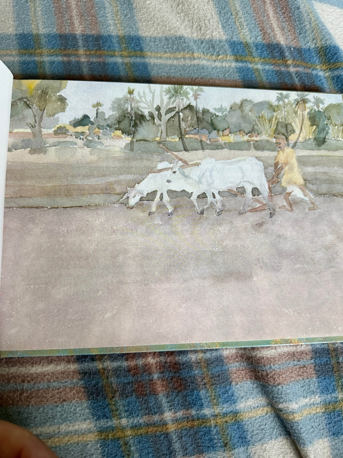 1988*1st* My Indian Home(Tulu’s Story) - Dagmar Dasgupta(McDonald & Company) - Honeyburn Books (UK)