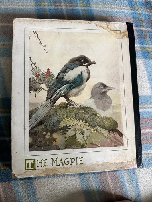 1920’s A Play Book Of Baby Birds - Detmold(Humphrey Milford Oxford University Press) - Honeyburn Books (UK)