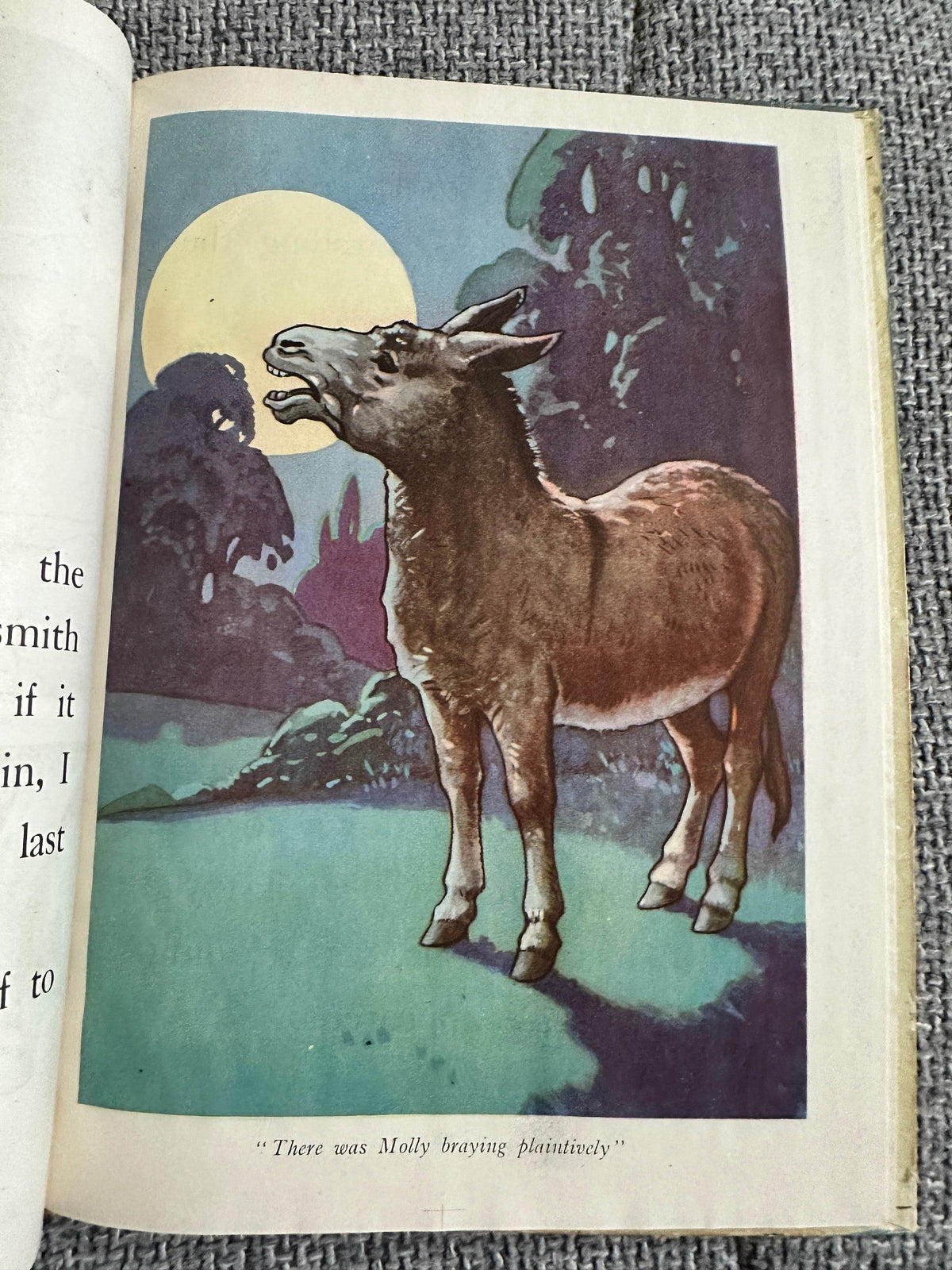 1938 Donkeys (P. M. Productions Ltd) - Honeyburn Books (UK)