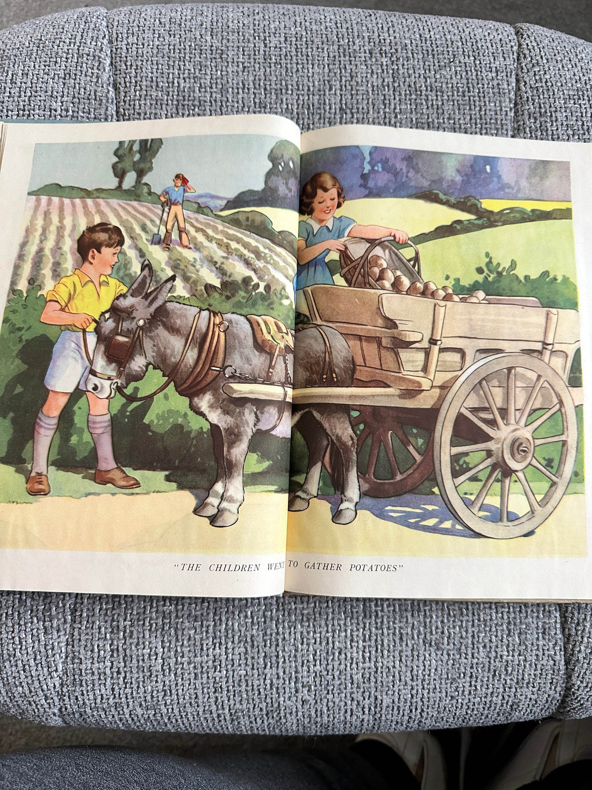 1938 Donkeys (P. M. Productions Ltd) - Honeyburn Books (UK)