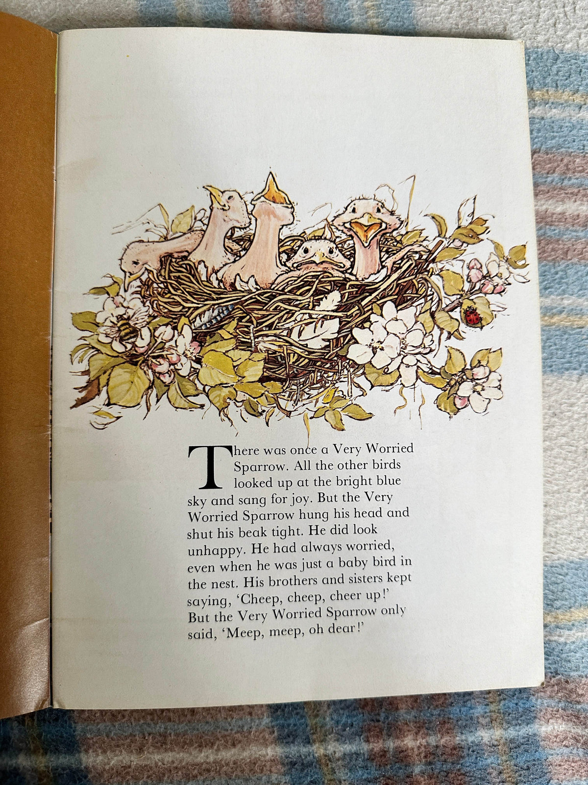 1983 The Very Worried Sparrow - Meryl Doney(Illust Gillian Gaze) Lion Book - Honeyburn Books (UK)
