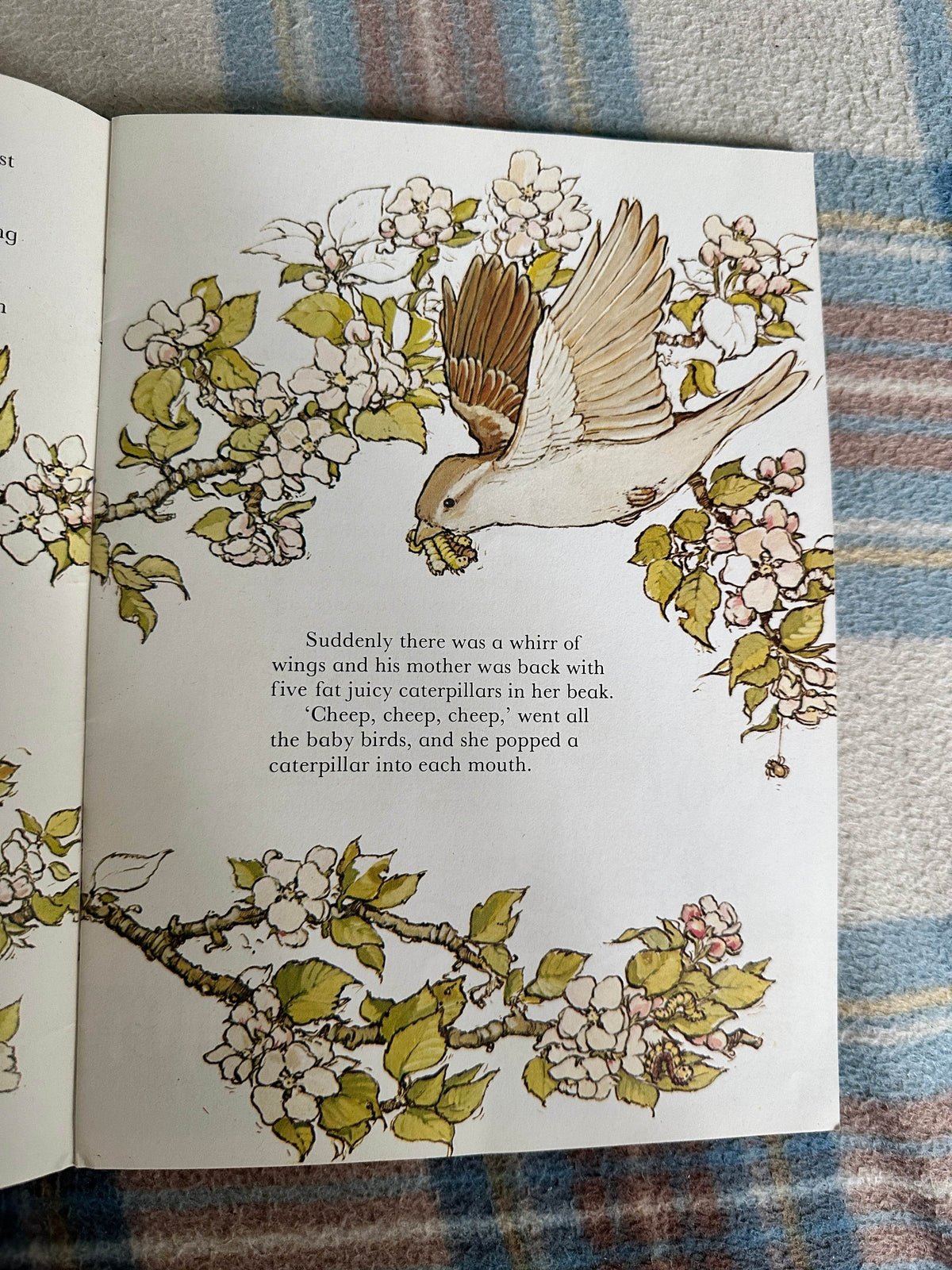 1983 The Very Worried Sparrow - Meryl Doney(Illust Gillian Gaze) Lion Book - Honeyburn Books (UK)