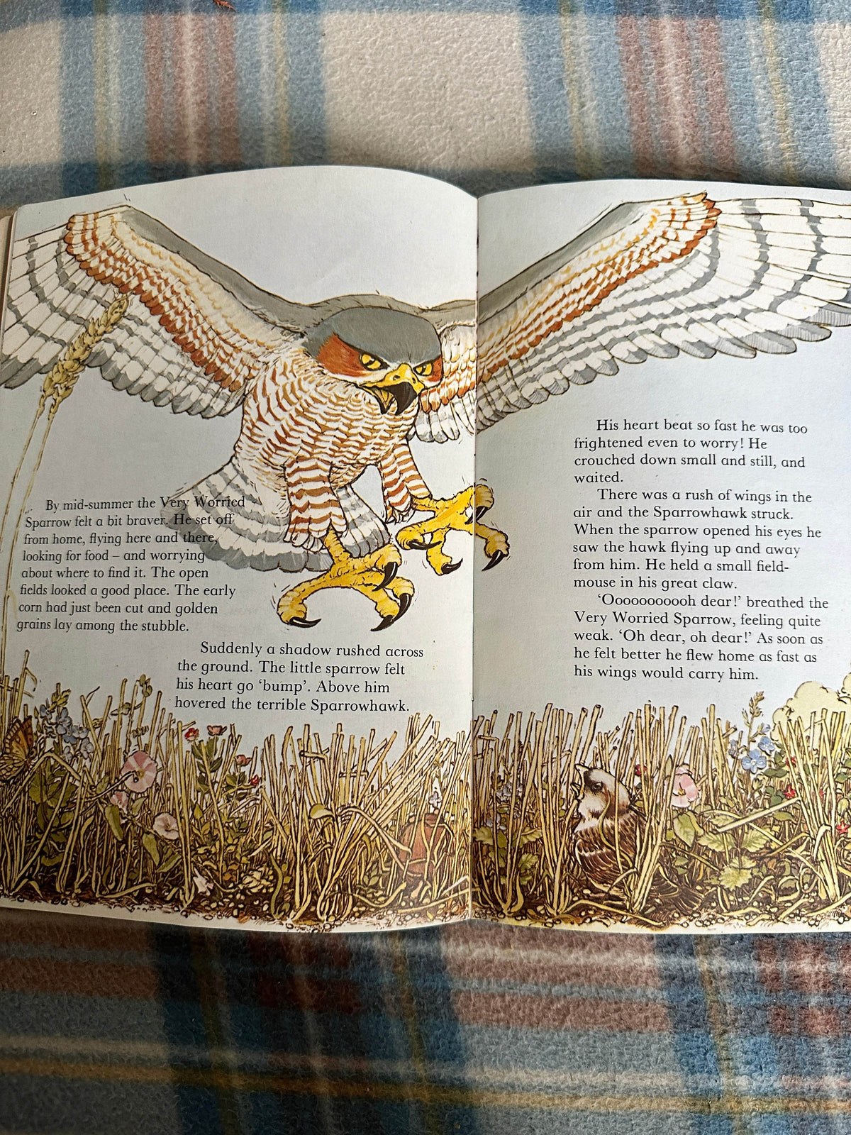 1983 The Very Worried Sparrow - Meryl Doney(Illust Gillian Gaze) Lion Book - Honeyburn Books (UK)