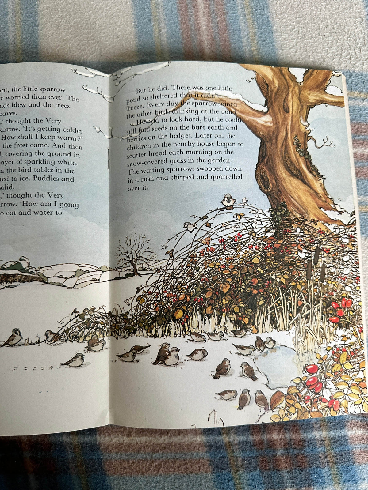 1983 The Very Worried Sparrow - Meryl Doney(Illust Gillian Gaze) Lion Book - Honeyburn Books (UK)