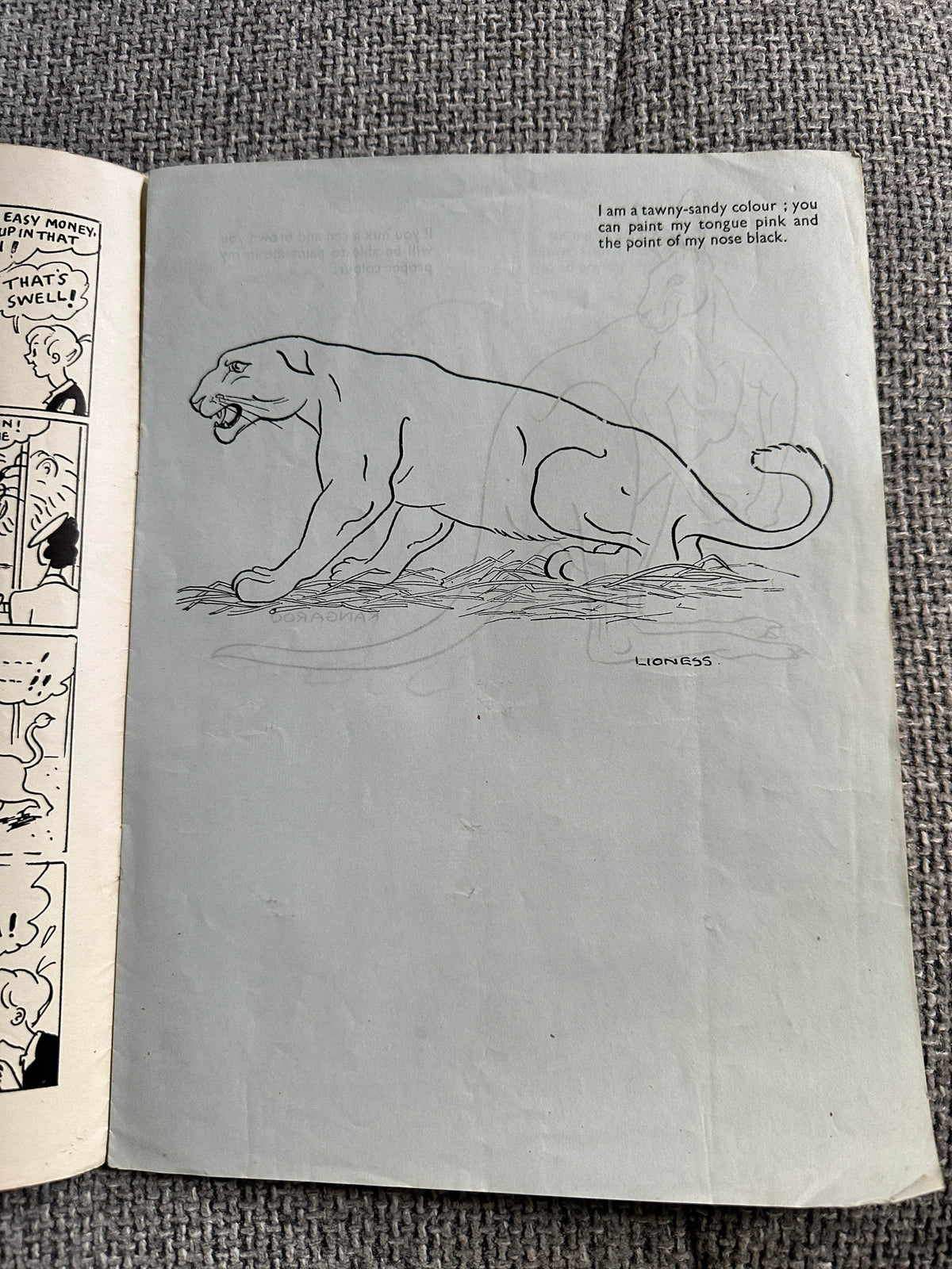 1940’s Your Favourites At The Zoo to Copy In Colour - P. M. Productions Ltd - Honeyburn Books (UK)