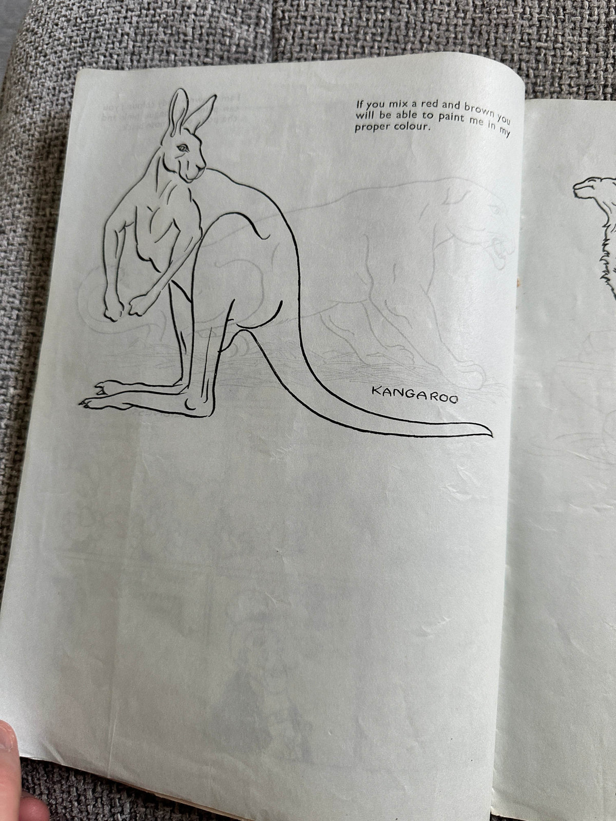 1940’s Your Favourites At The Zoo to Copy In Colour - P. M. Productions Ltd - Honeyburn Books (UK)