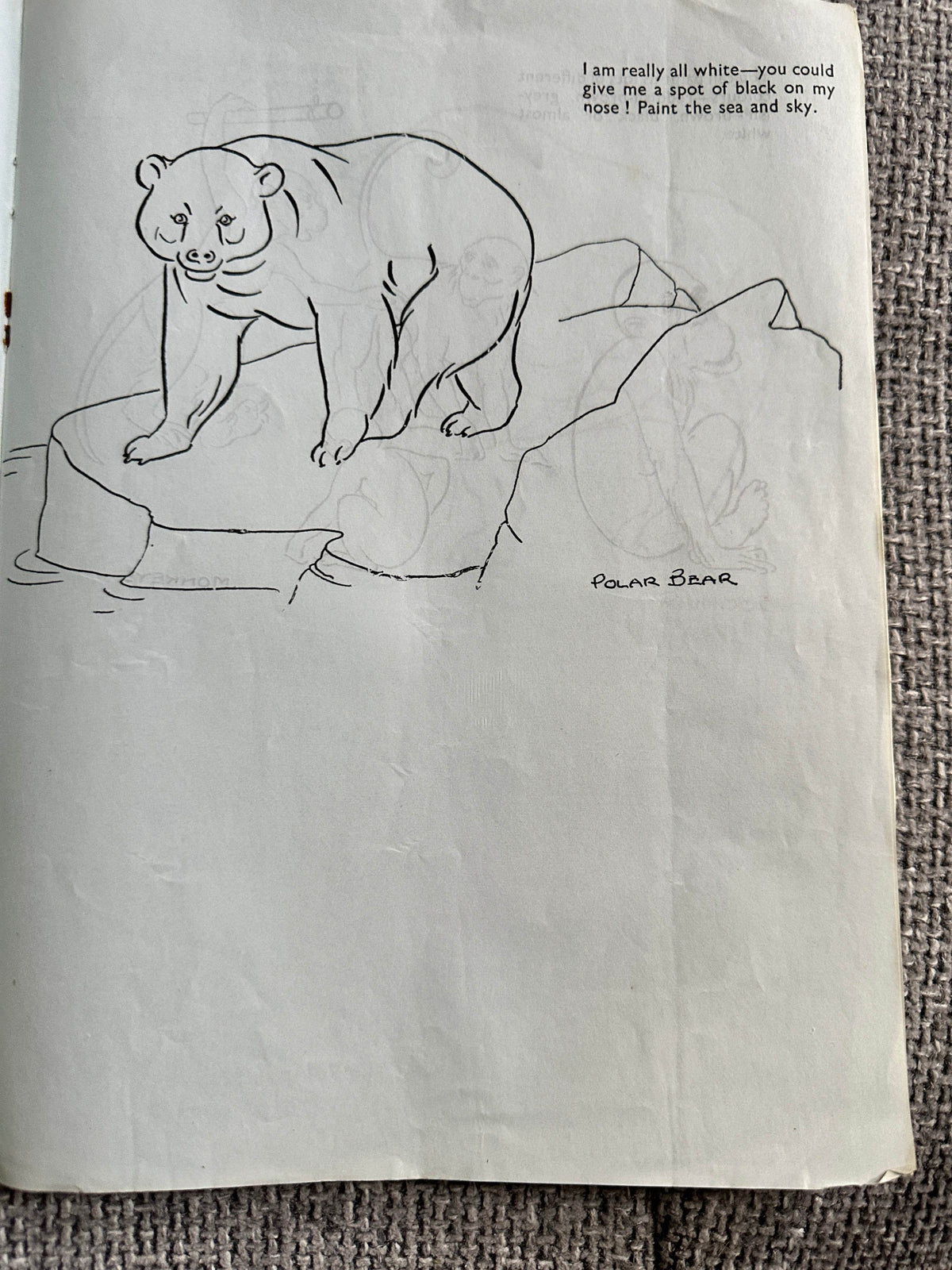 1940’s Your Favourites At The Zoo to Copy In Colour - P. M. Productions Ltd - Honeyburn Books (UK)