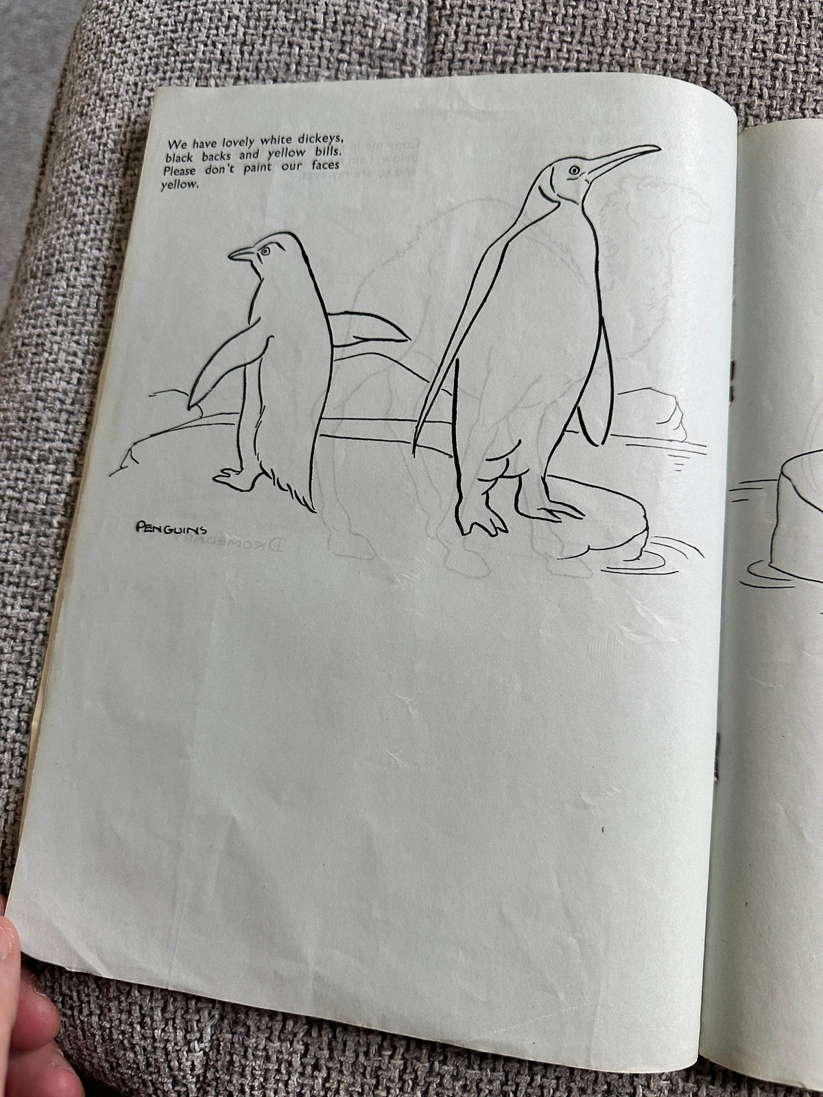 1940’s Your Favourites At The Zoo to Copy In Colour - P. M. Productions Ltd - Honeyburn Books (UK)