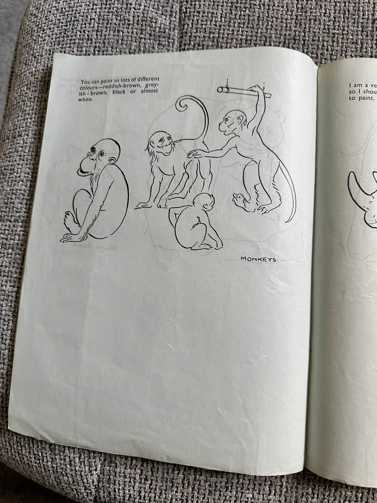 1940’s Your Favourites At The Zoo to Copy In Colour - P. M. Productions Ltd - Honeyburn Books (UK)
