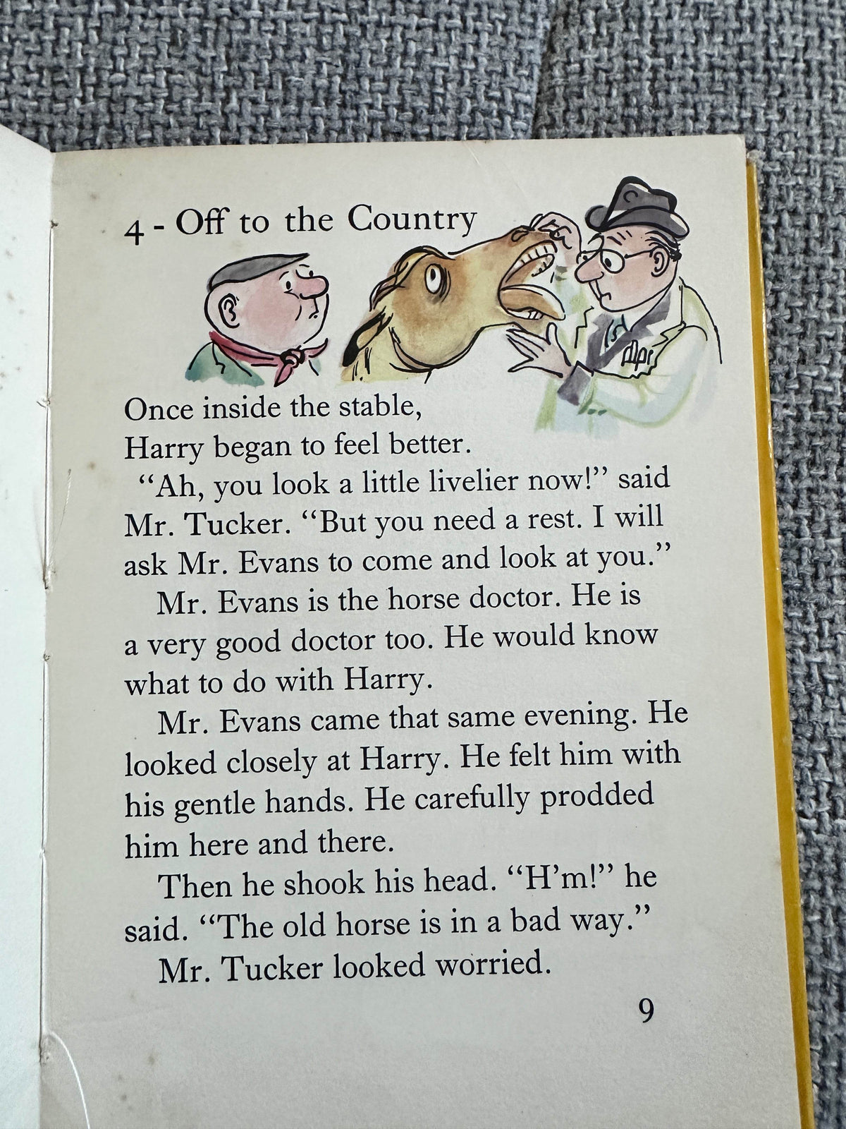 1958*1st* Holiday For Harry - Kay White (Margaret Belsky Illust) Dolphin Books (Brockhampton Press) - Honeyburn Books (UK)