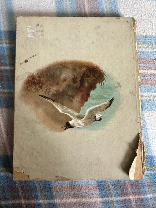 1902 Uncle Charlie’s Seaside Stories (Griffith, Farran, Browne & Co Ltd) - Honeyburn Books (UK)