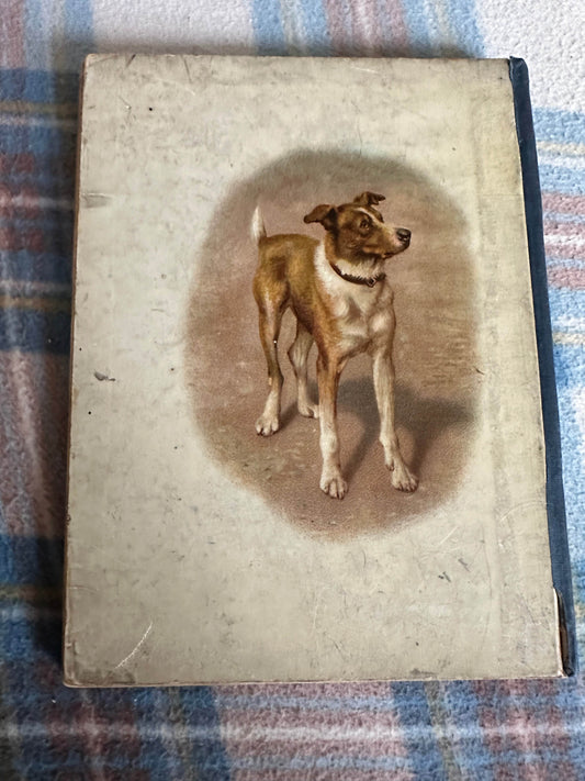 1898 Uncle Charlie’s Short Stories About Animals - Gertrude Sellon(Harrison Weir illustration and others) - Honeyburn Books (UK)