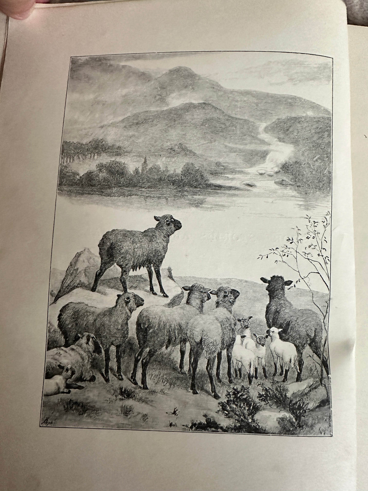 1898 Uncle Charlie’s Short Stories About Animals - Gertrude Sellon(Harrison Weir illustration and others) - Honeyburn Books (UK)