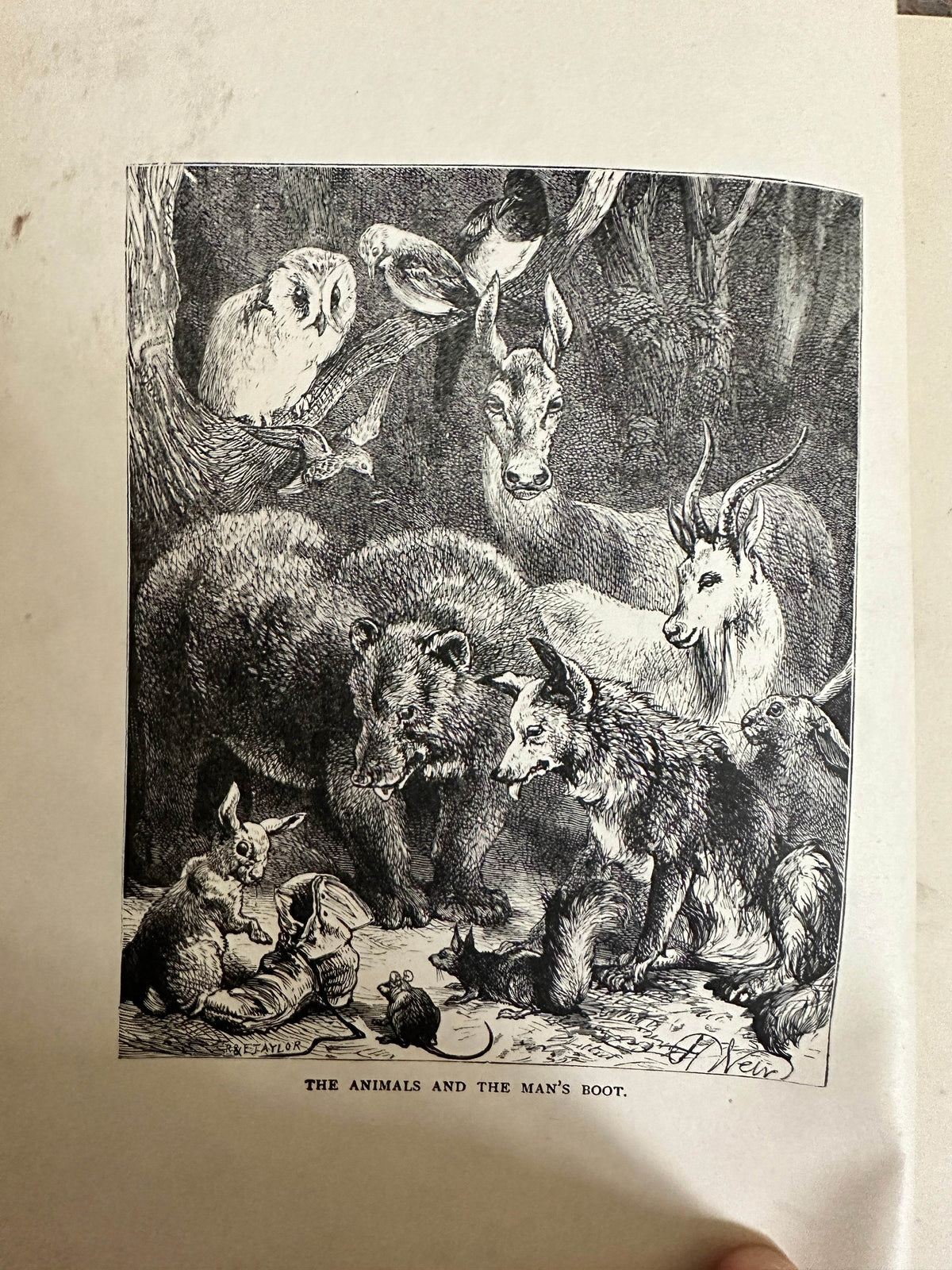 1898 Uncle Charlie’s Short Stories About Animals - Gertrude Sellon(Harrison Weir illustration and others) - Honeyburn Books (UK)