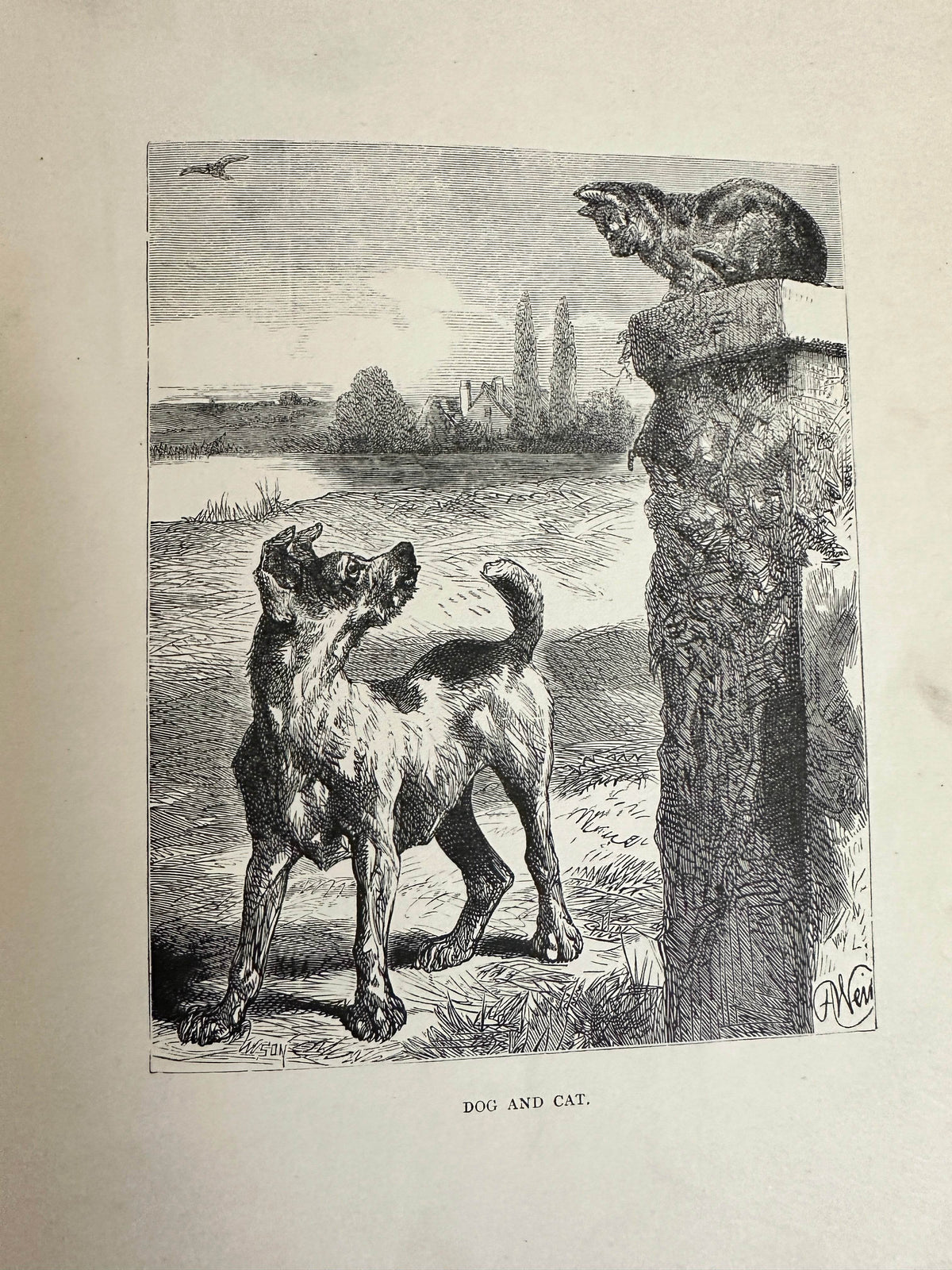 1898 Uncle Charlie’s Short Stories About Animals - Gertrude Sellon(Harrison Weir illustration and others) - Honeyburn Books (UK)