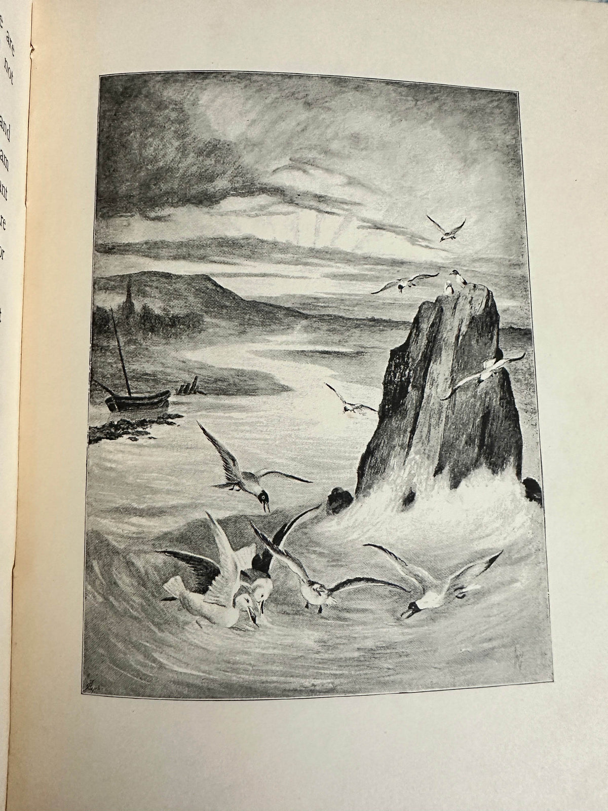 1898 Uncle Charlie’s Short Stories About Animals - Gertrude Sellon(Harrison Weir illustration and others) - Honeyburn Books (UK)