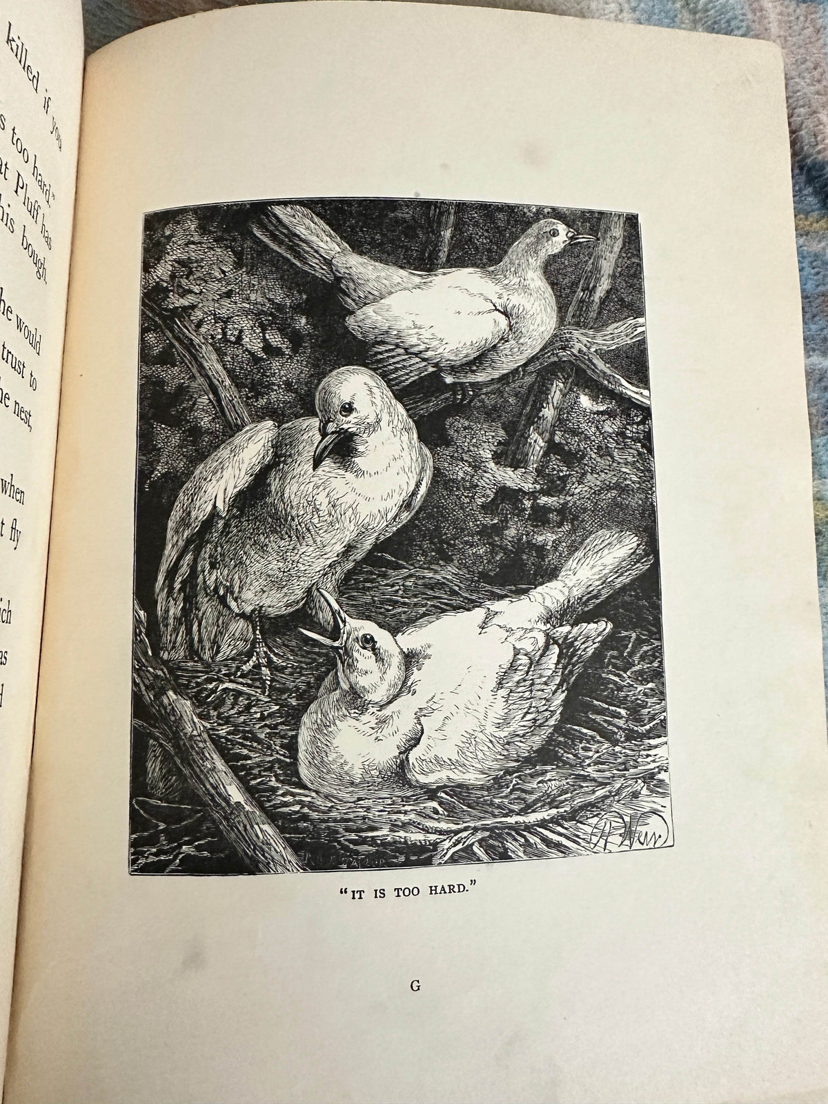 1898 Uncle Charlie’s Short Stories About Animals - Gertrude Sellon(Harrison Weir illustration and others) - Honeyburn Books (UK)