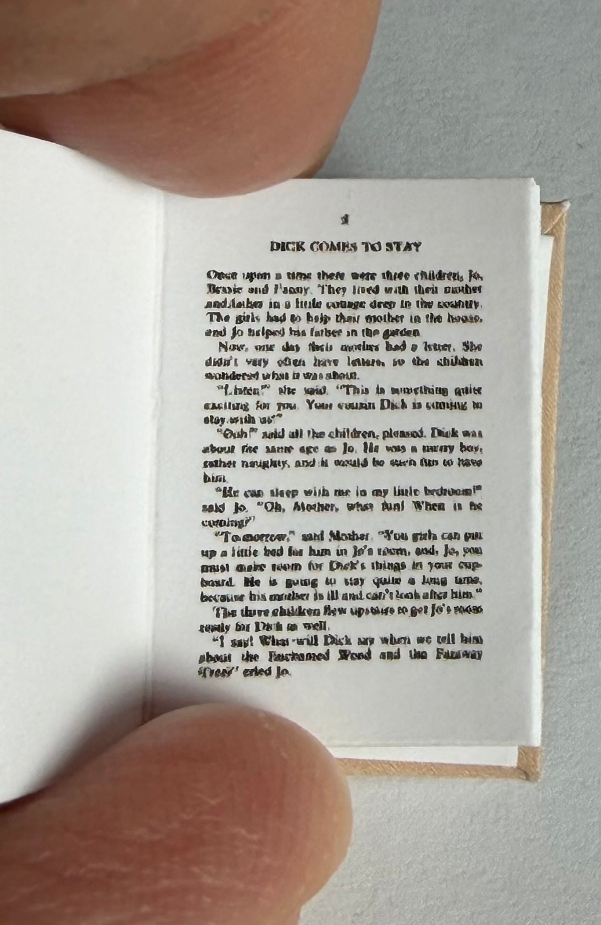 The Magic Faraway Tree 1:12 scale 2x3 detachable dust jacket opening book. Not full books, not suitable for children