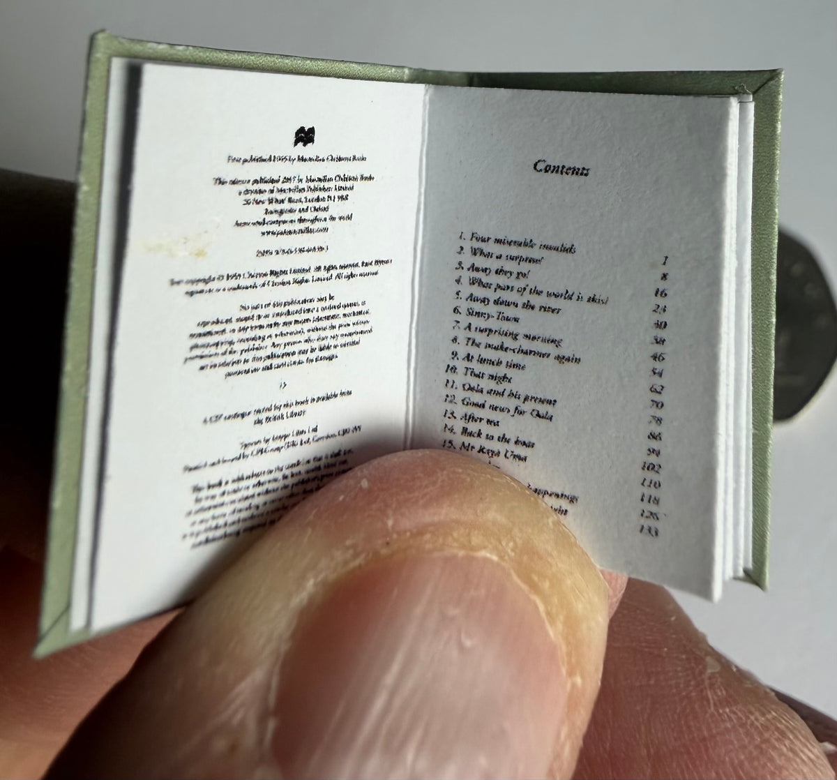 The River Of Adventure 1:12 scale 2x3 detachable dust jacket opening book