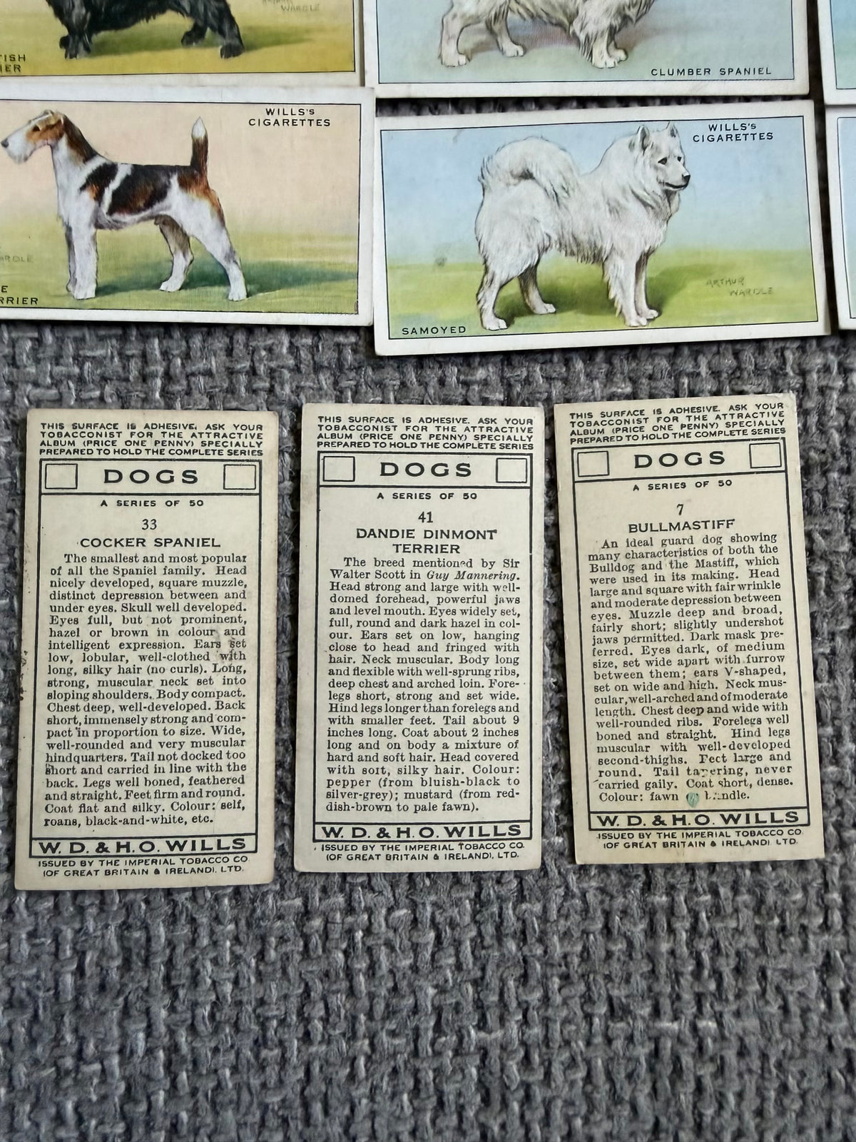 Wills’s — Dogs (1937) — Partial Set (41/50) Arthur Wardle illustrations.