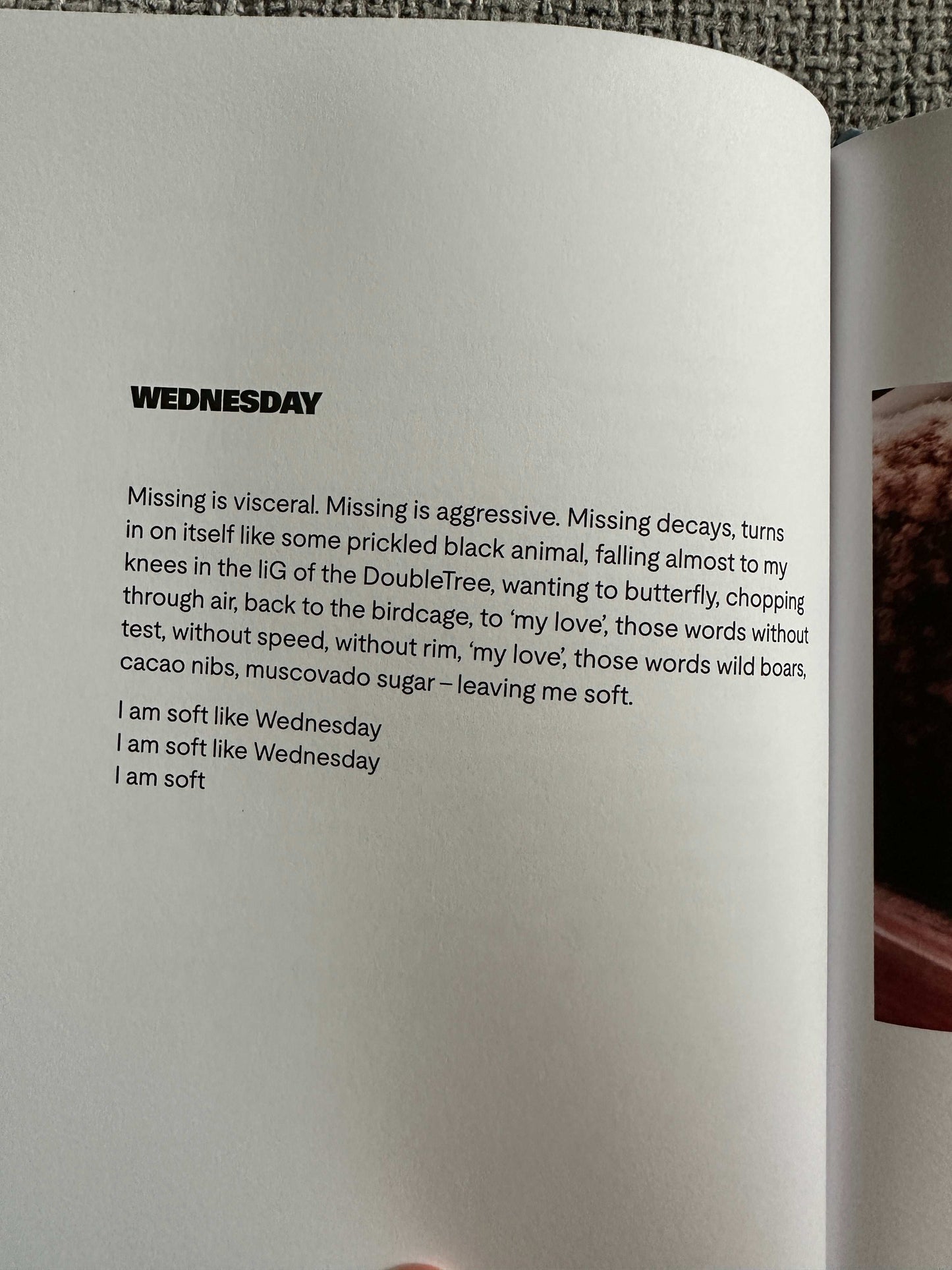 Inside page of The Magic Border signed poetry book featuring a poem titled Wednesday
