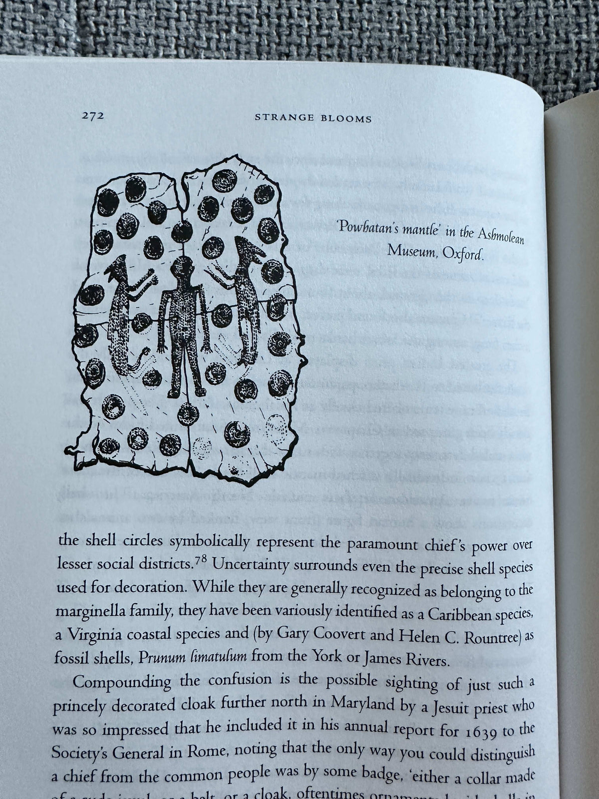 Pages from the Strange Blooms first edition for sale featuring illustrations and text on historical artifacts