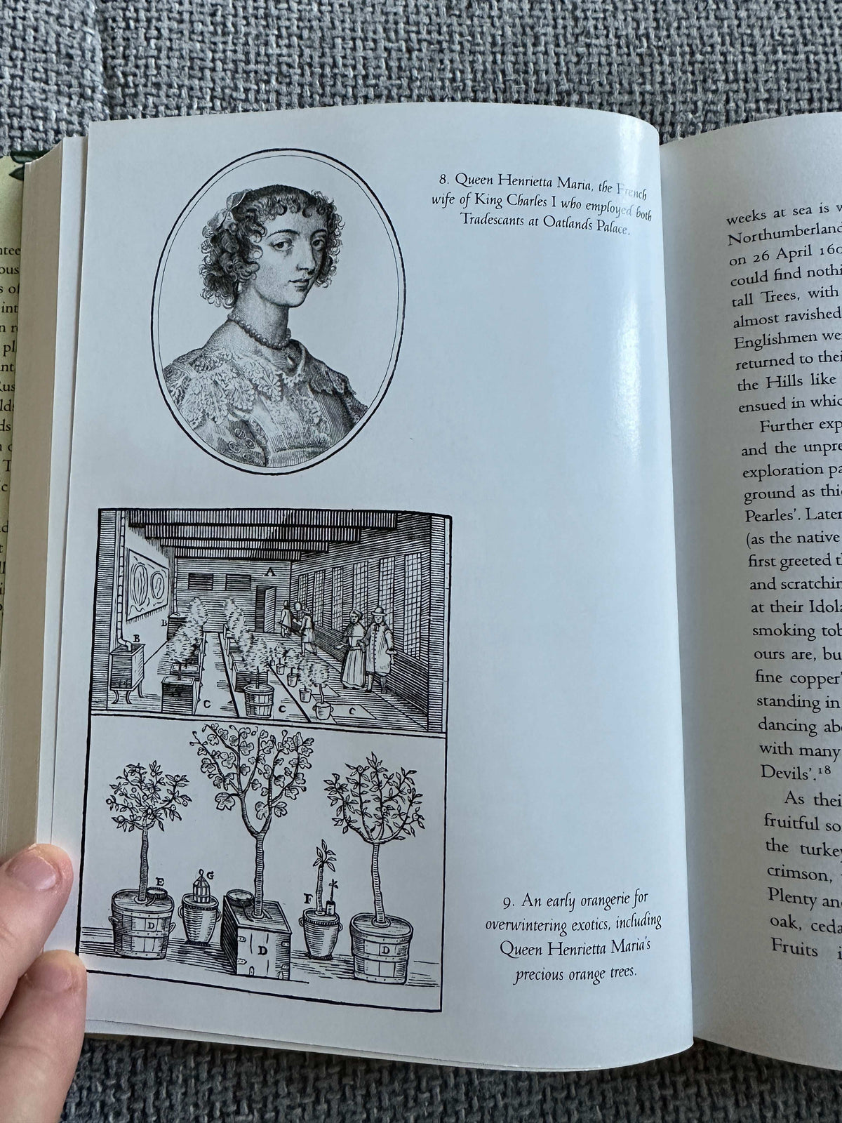 Strange Blooms first edition for sale featuring illustrations and historical context of exotic plants