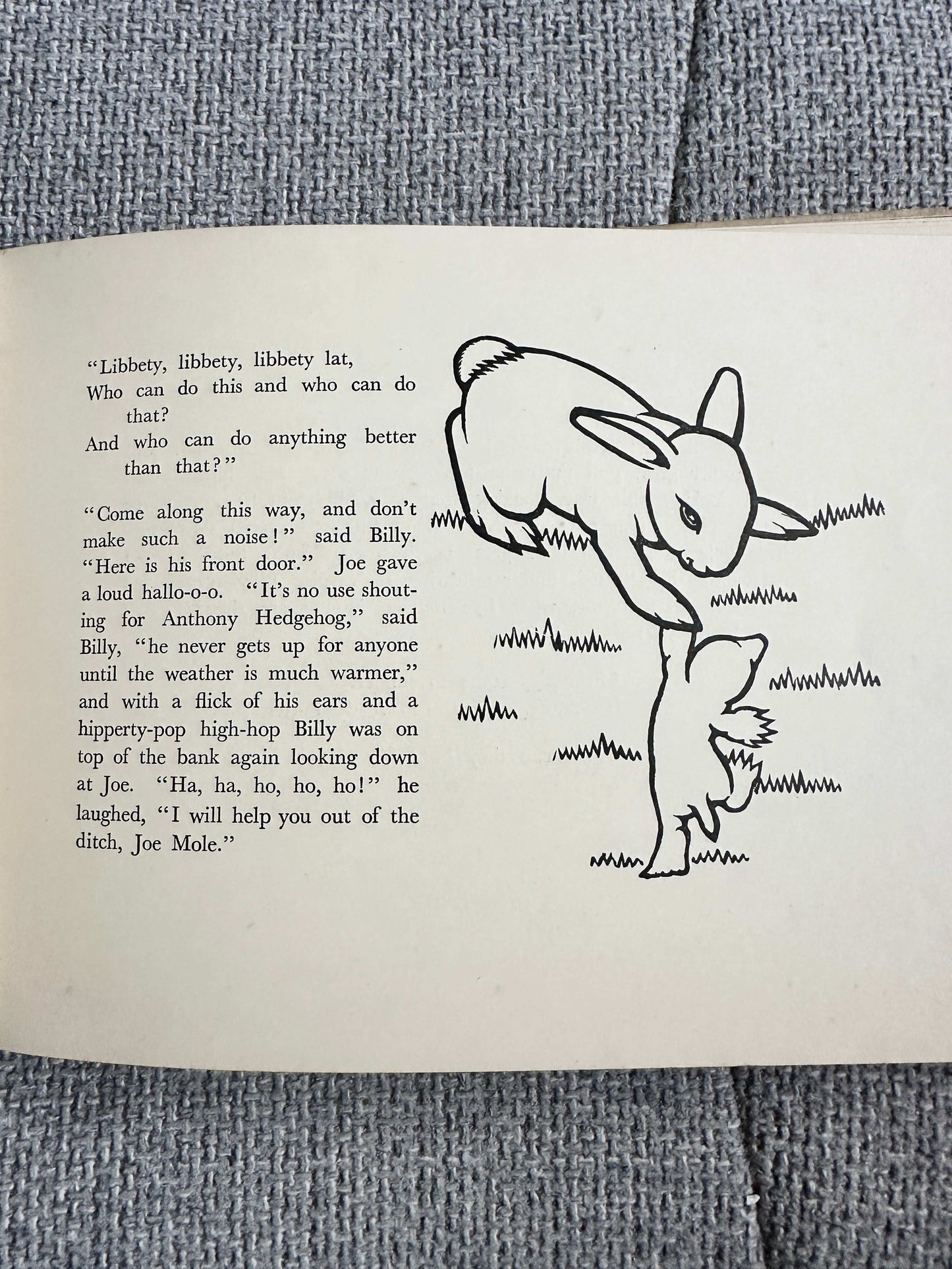 Illustration from Billy Bobtail first edition for sale showing a rabbit and a mole in a whimsical scene