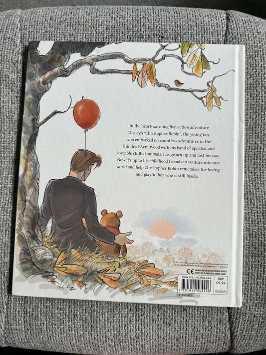 Back cover of children’s book A Boy A Bear A Balloon first edition by Honeyburn Books UK