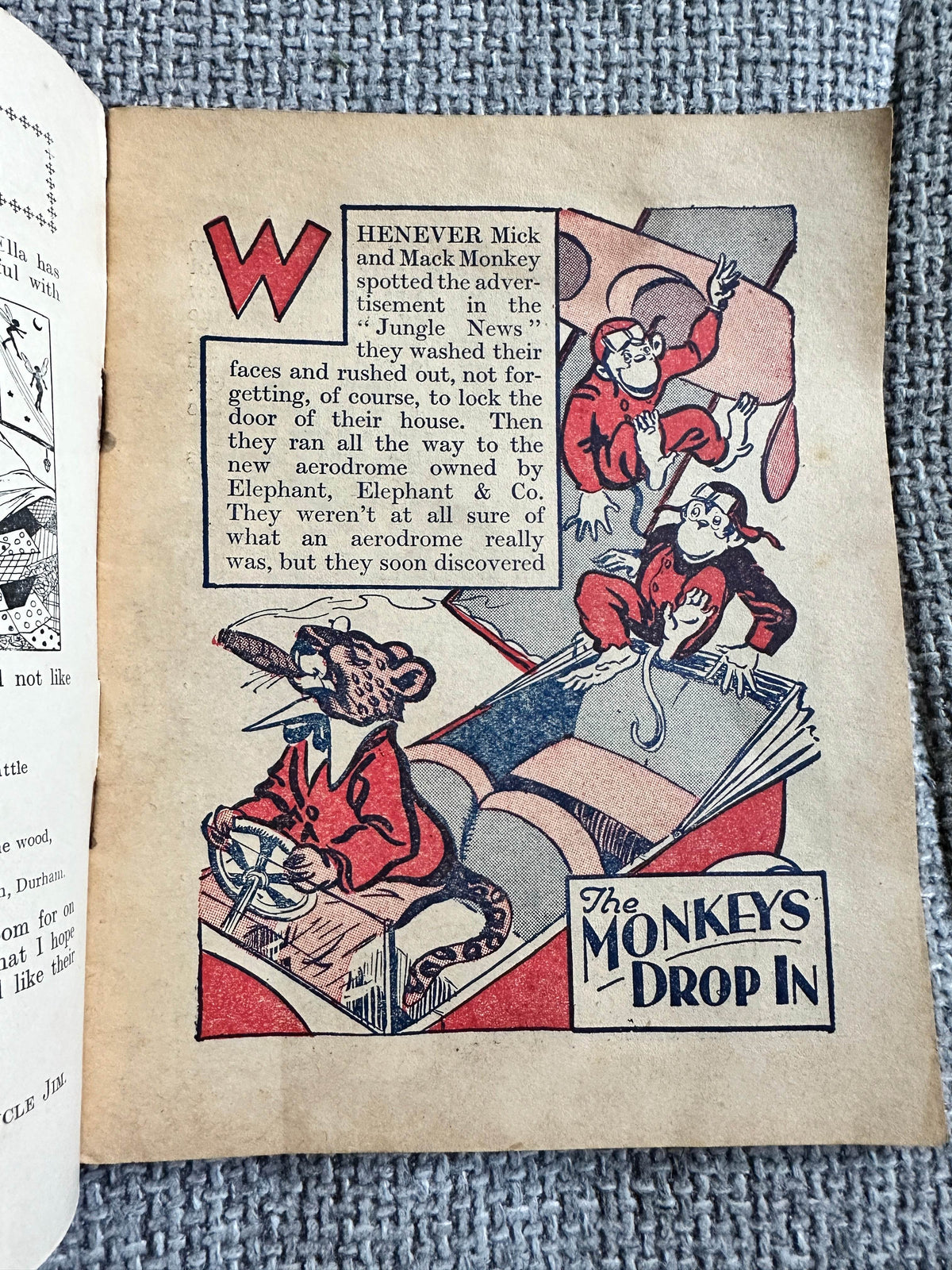 Illustration from the 1934 Fairyland Tales vintage children's book featuring monkeys and a colorful scene