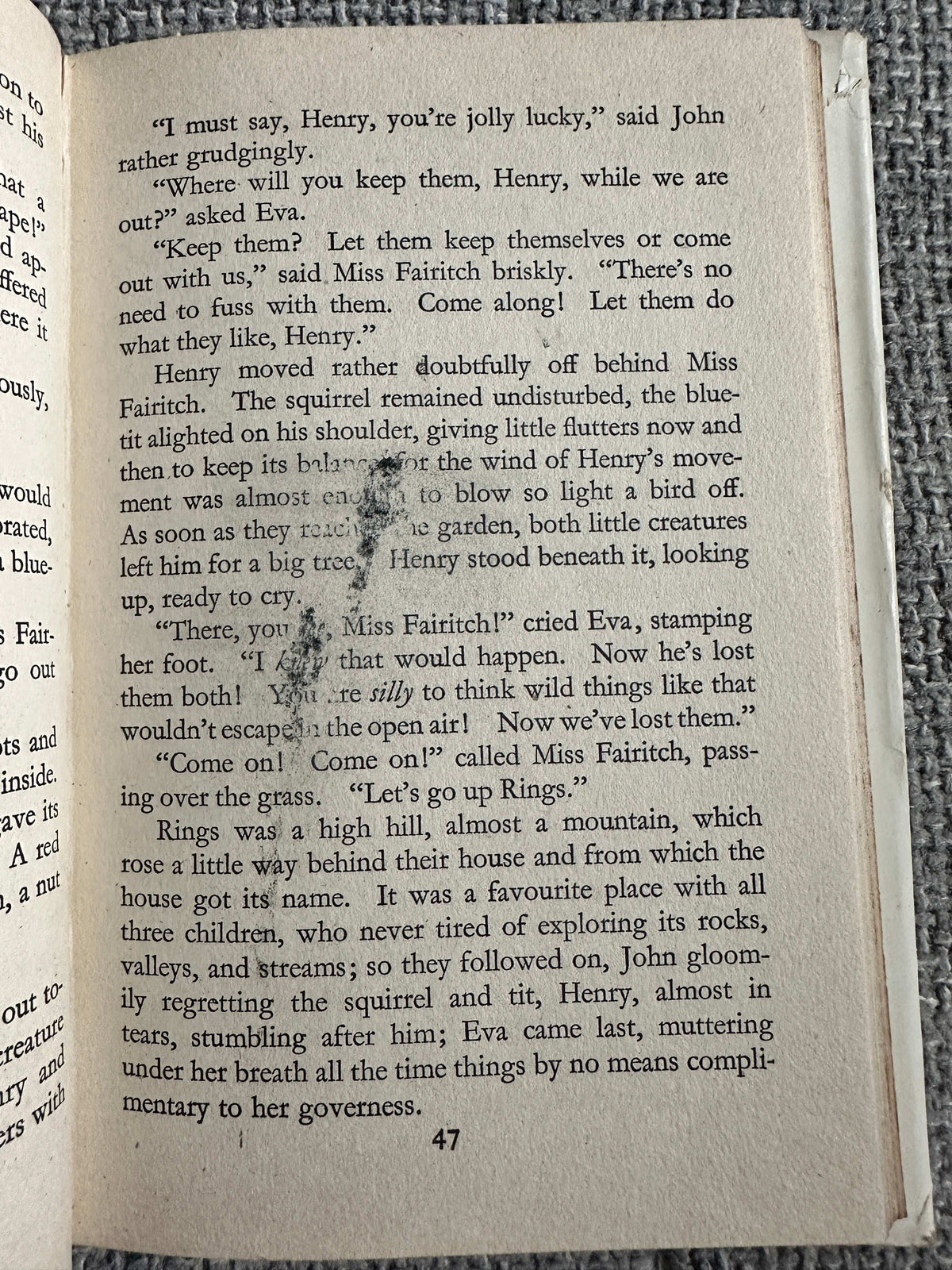 Page from Miss Fairitch and the Little Greenes first edition showing characters and storyline details