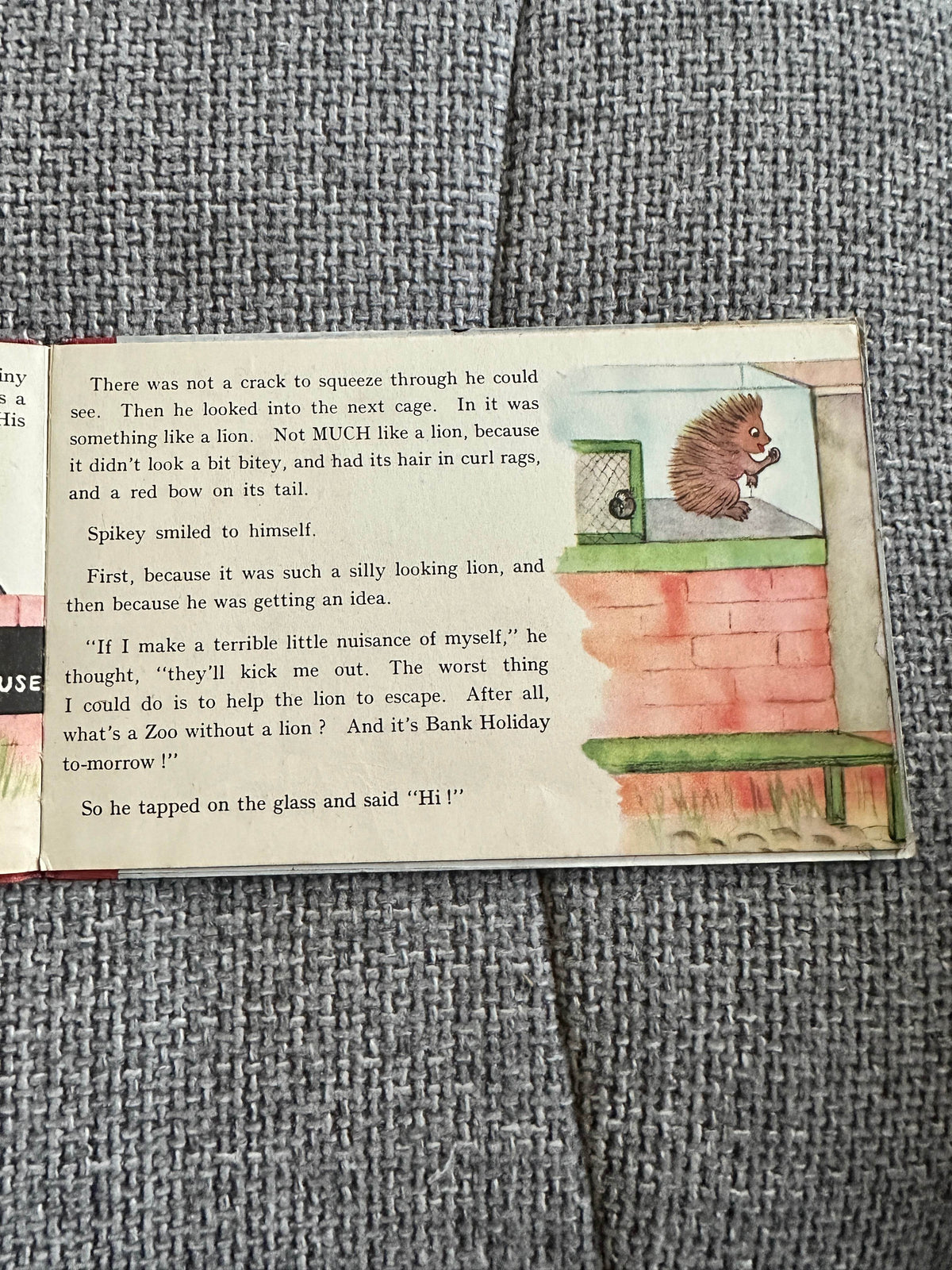 Page from Something Like A Lion vintage children's book featuring a hedgehog and colorful illustrations