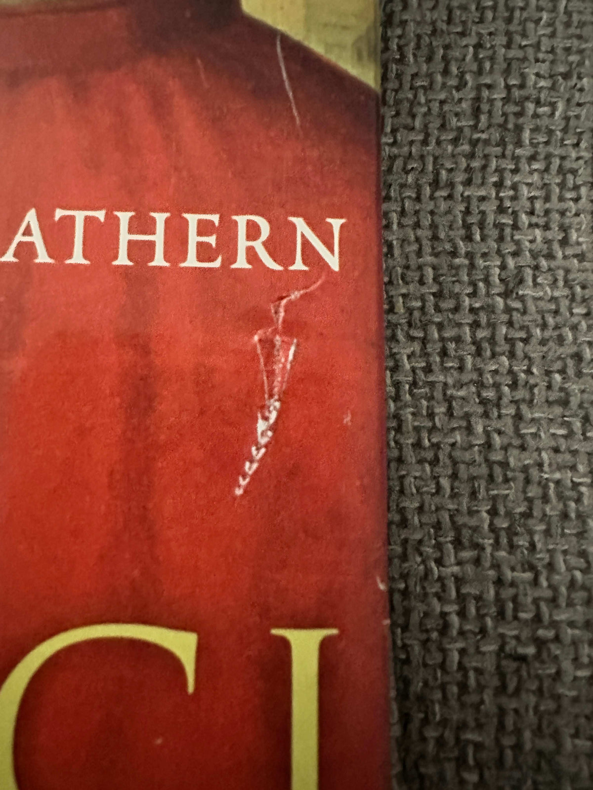 Close-up of the damage on The Medici Godfathers Of The Renaissance first edition book cover showing wear and tear