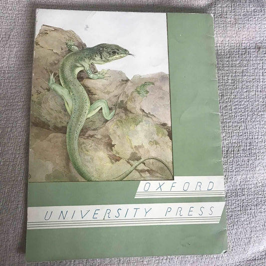 Very Rare Baby Animals of the Wild - E.J. Detmold (OUP) - Honeyburn Books (UK)