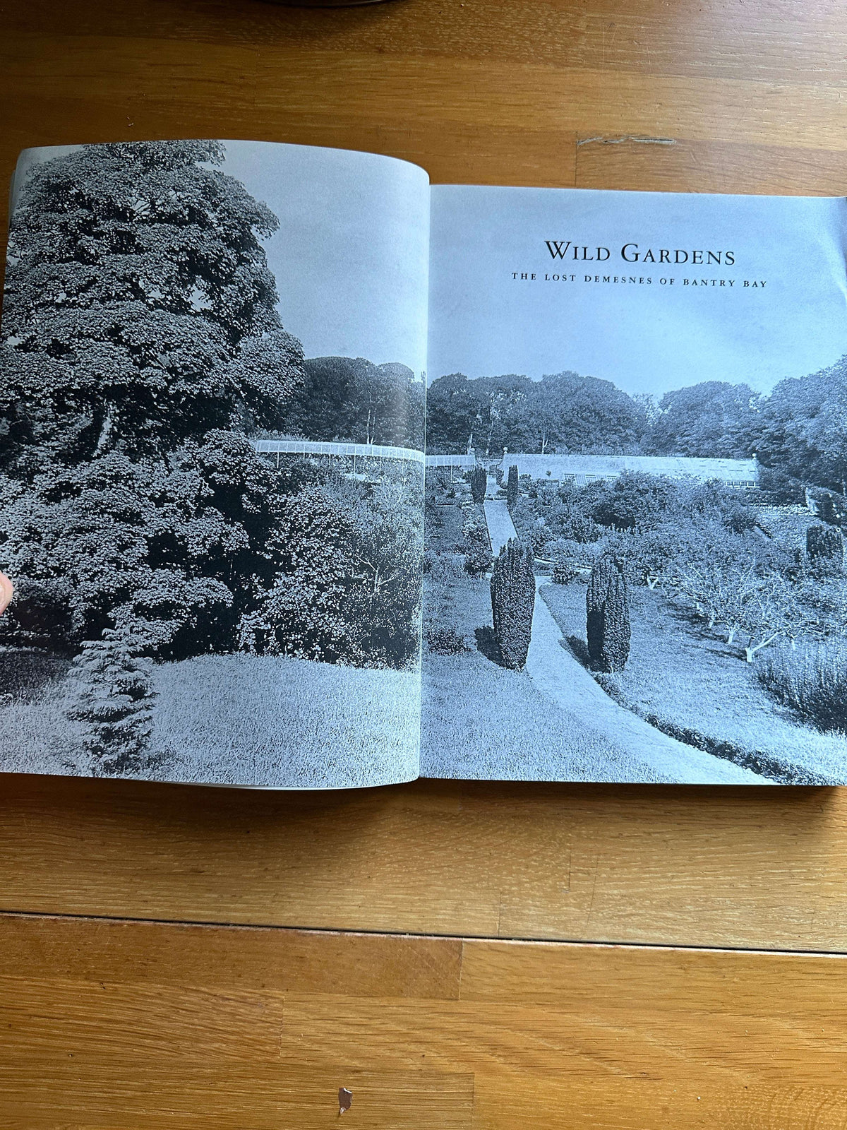 Wild Gardens book Bantry Bay by Honeyburn Books, showcasing beautiful garden landscapes and history