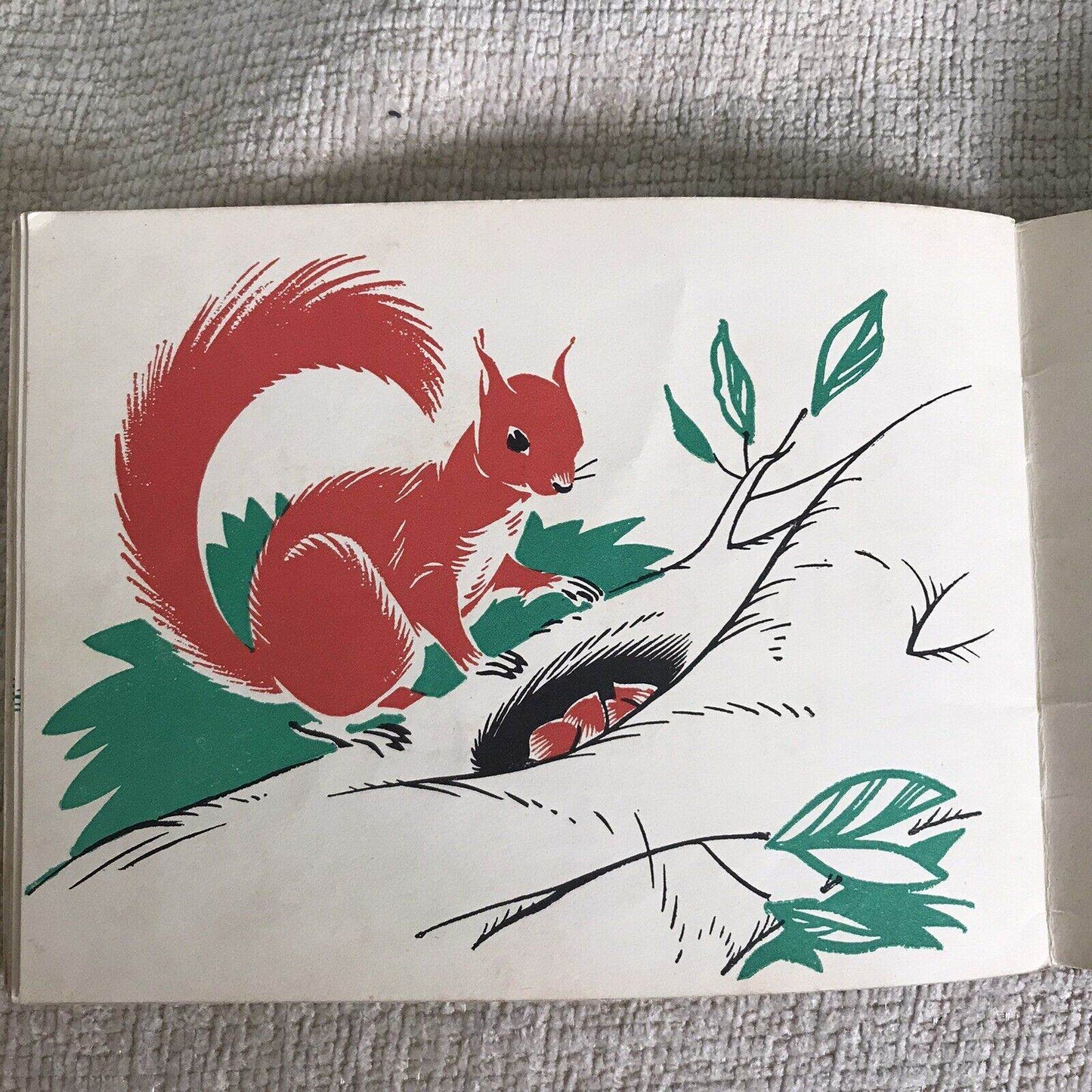 1953 Red Squirrel - Jenny Taylor *Rare* Oliver & Boyd - Honeyburn Books (UK)