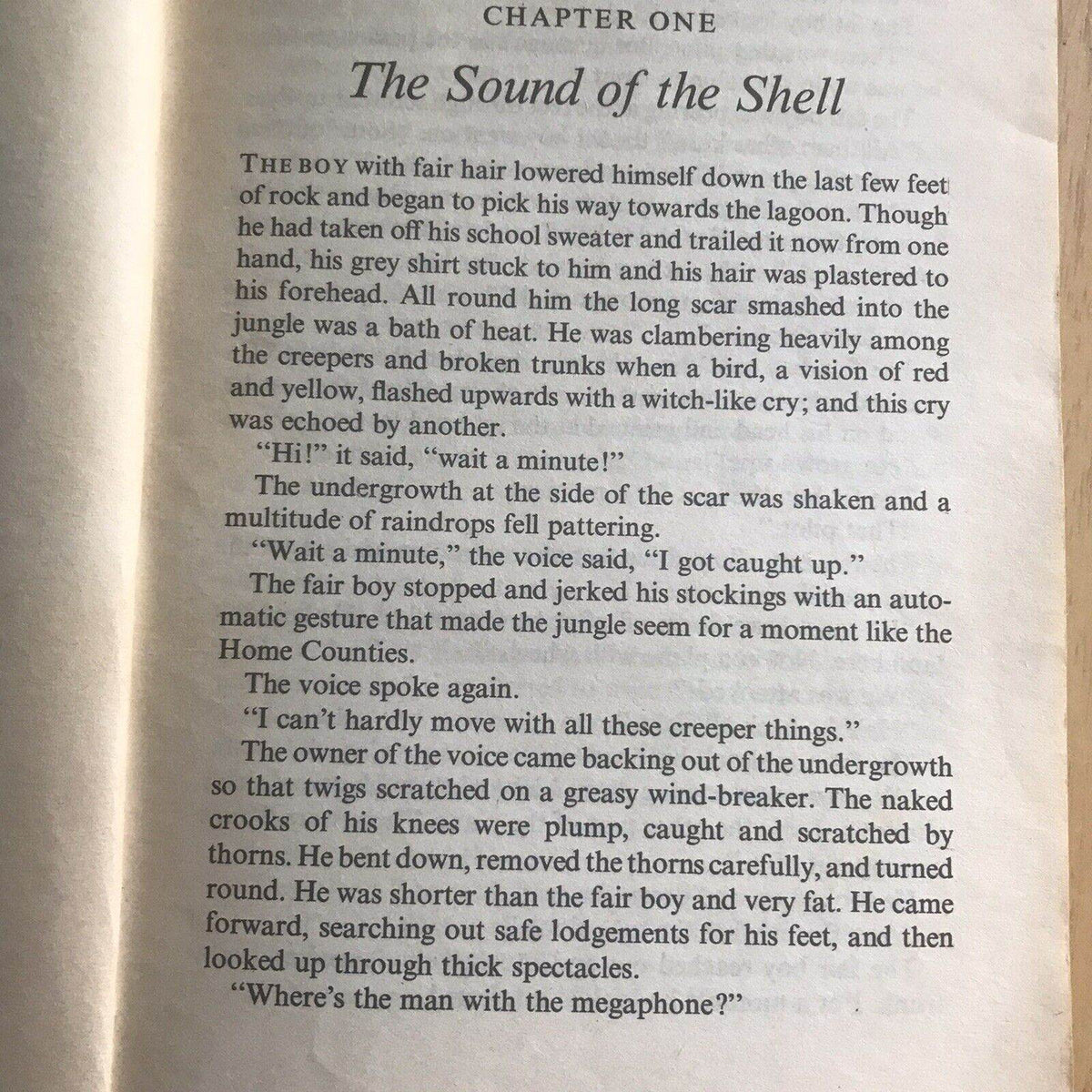 Lord of the Flies by William Golding (Paperback, 1973) - Honeyburn Books (UK)