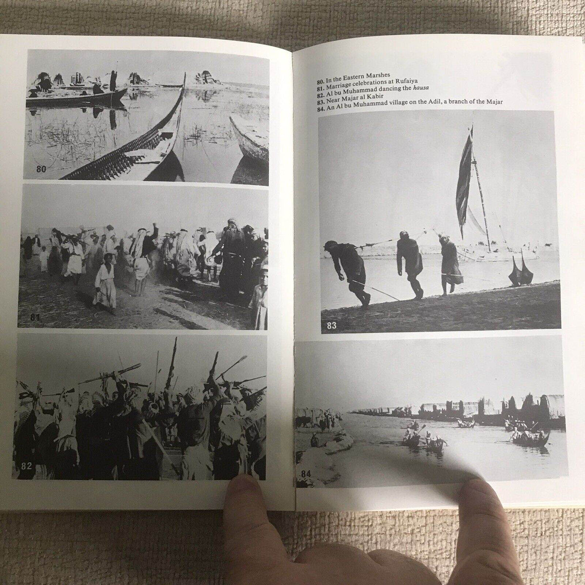 The Marsh Arabs by Wilfred Thesiger (Paperback, 1987) Penguin Publisher - Honeyburn Books (UK)