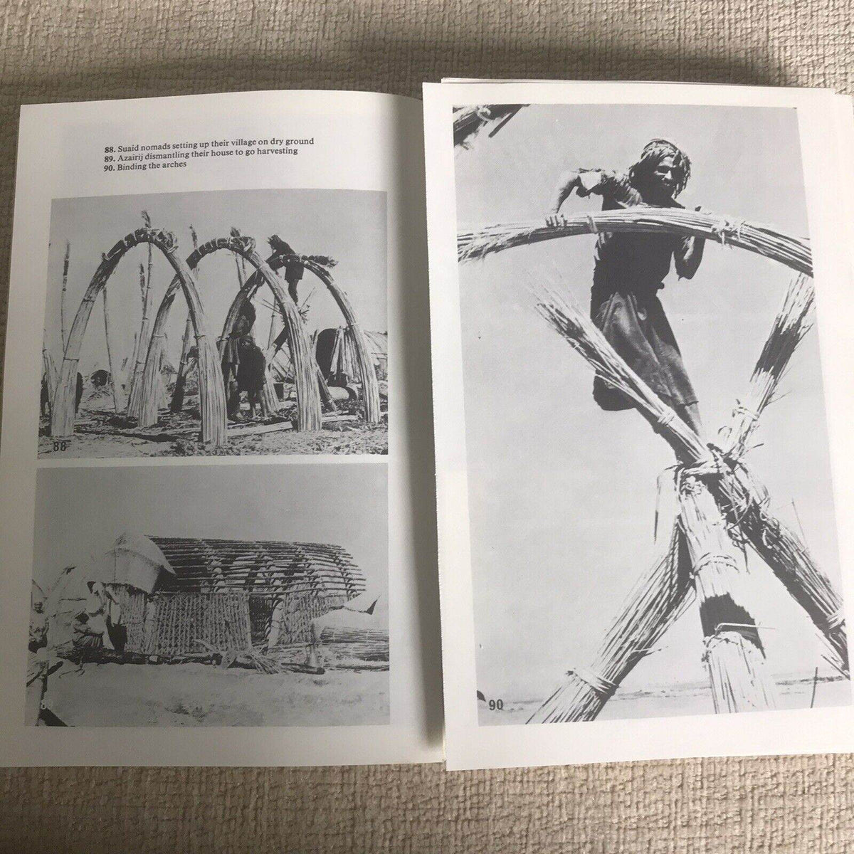 The Marsh Arabs by Wilfred Thesiger (Paperback, 1987) Penguin Publisher - Honeyburn Books (UK)