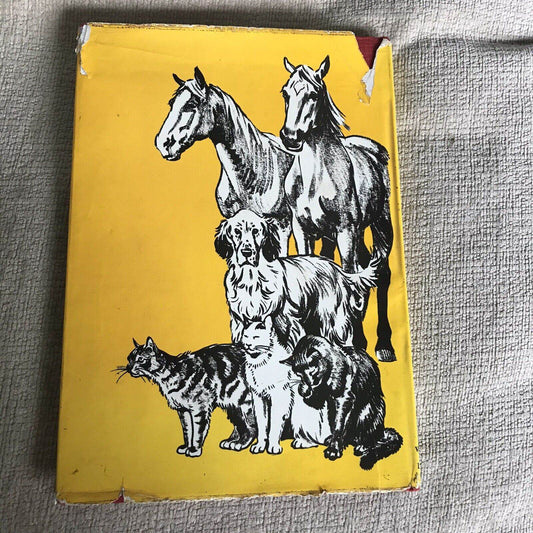 1969*1st* Oh! My Ears & Whiskers! - Aurea Weldon (Joan Thompson Illust) Ward Loc - Honeyburn Books (UK)