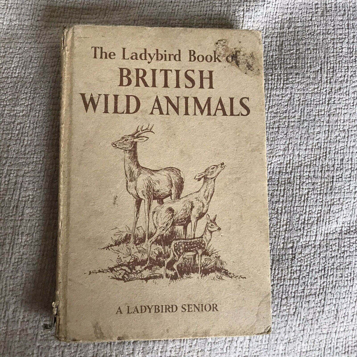 1958*1st* British Wild Animals(series 536) Ladybird By George Cansdale (R. Green - Honeyburn Books (UK)