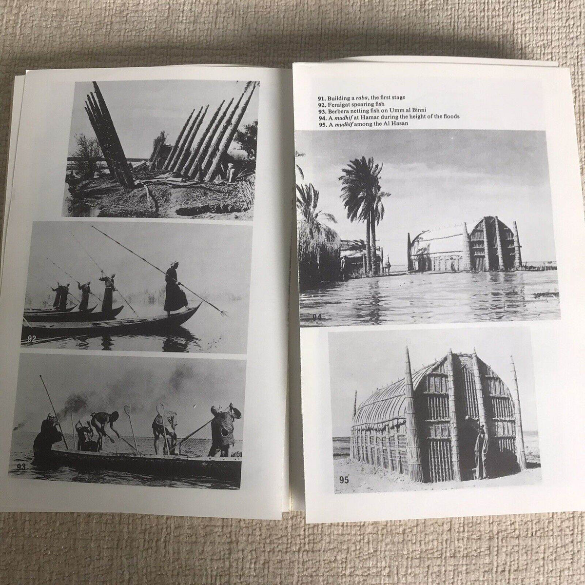 The Marsh Arabs by Wilfred Thesiger (Paperback, 1987) Penguin Publisher - Honeyburn Books (UK)