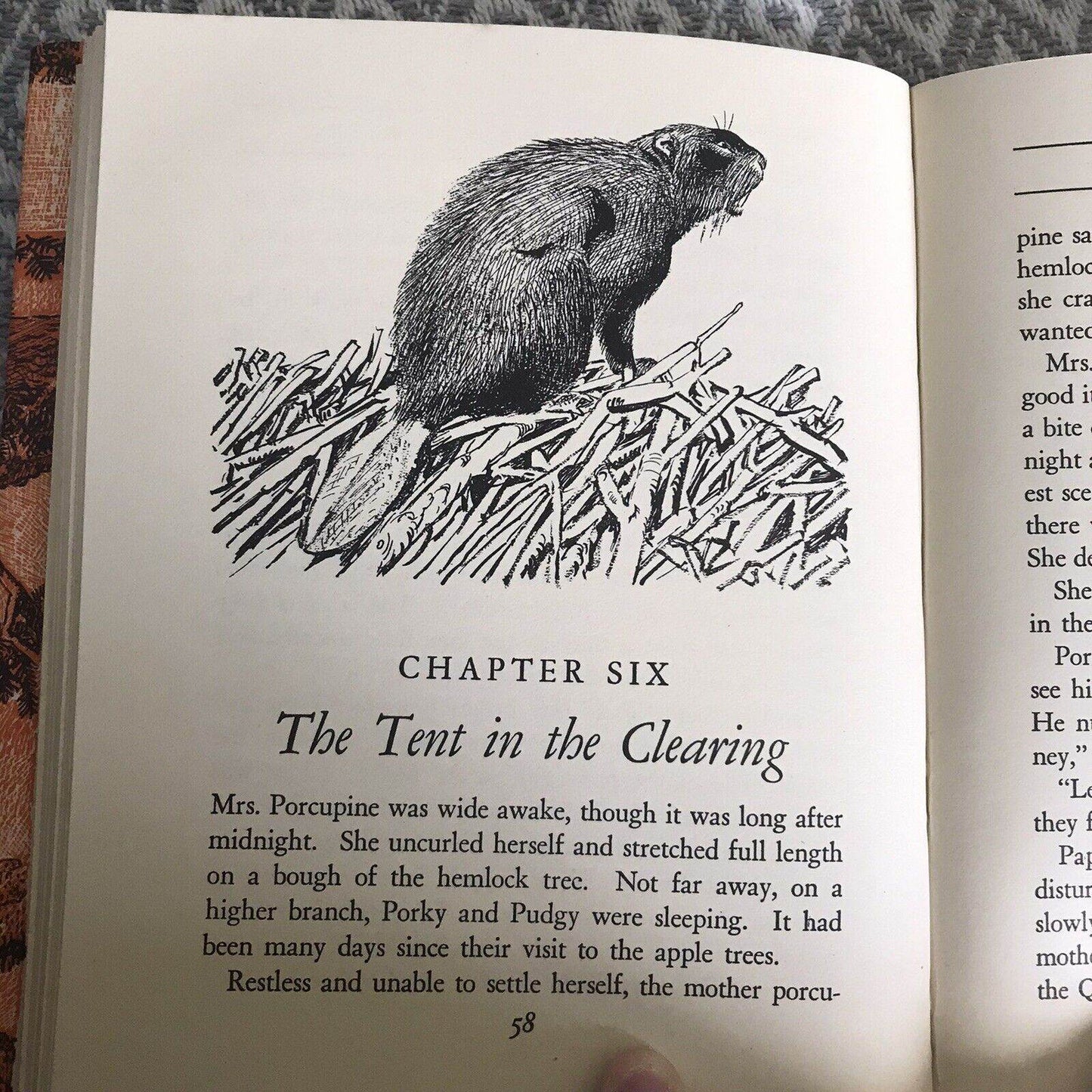 1956*1st* The Porcupine Twins - Jane Tompkins(Kurt Wiese Illust) Frederick Warne - Honeyburn Books (UK)