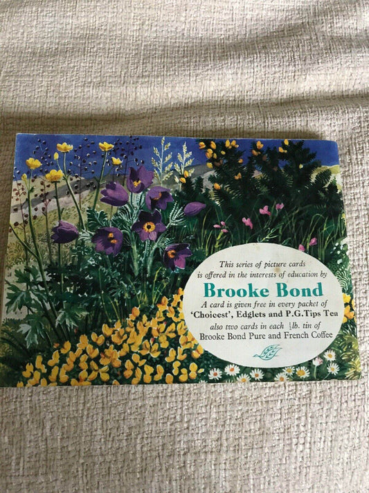 1960s Brook Bond Tea Cards Wild Flowers Series 2 by C. F. Tunnicliffe - Honeyburn Books (UK)