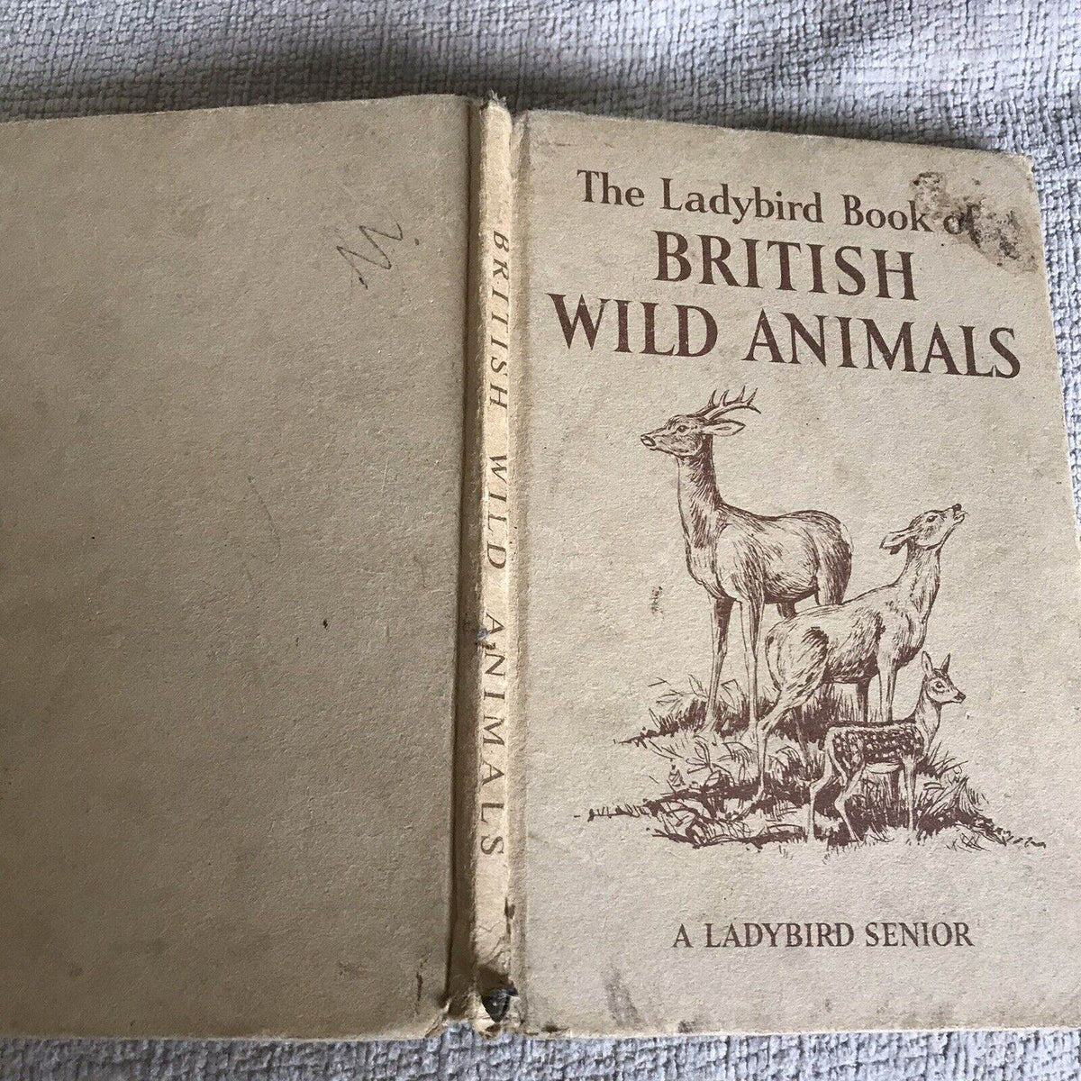 1958*1st* British Wild Animals(series 536) Ladybird By George Cansdale (R. Green - Honeyburn Books (UK)