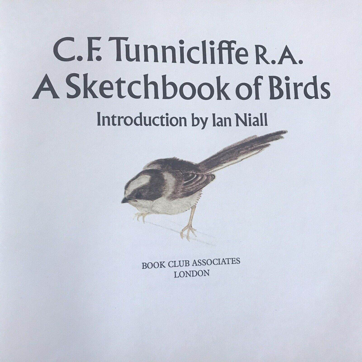 1979 C.F. Tunnicliffe A Sketchbook Of Birds(Ian Niall) Book Club - Honeyburn Books (UK)