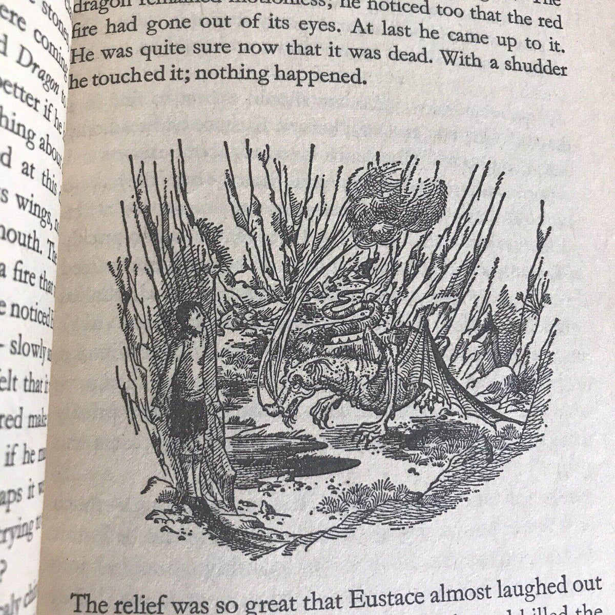 1979 Voyage Of The Dawn Treader - CS Lewis (Pauline Baynes Illustrations) Puffin Edition - Honeyburn Books (UK)